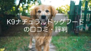 K9ナチュラルドッグフードの口コミや評判!原材料や安全性をチェック