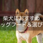 柴犬の餌の選び方とおすすめドッグフード