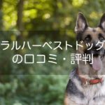 ナチュラルハーベストの口コミ評判!成分や安全性をチェック