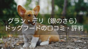 グラン・デリ(銀のさら)ドッグフードの口コミ評判!成分や安全性をチェック