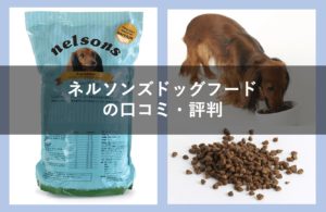 ネルソンズドッグフードの口コミ評判!成分や安全性をチェック